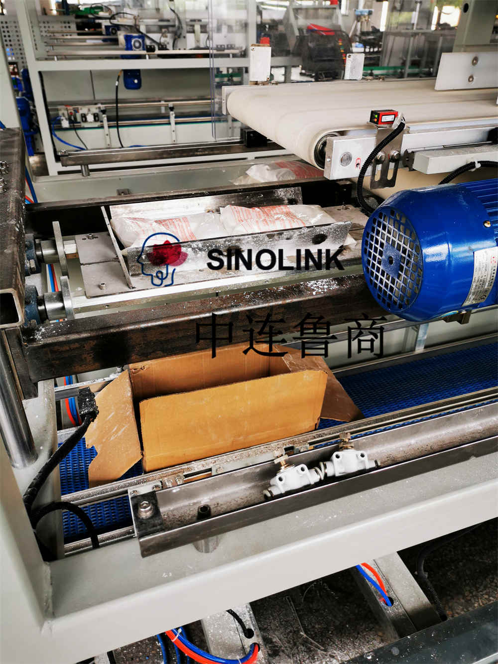 Jump-On Case Packer Máquina de embalaje de carga de cartón totalmente automática