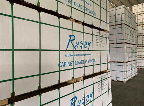 Correa de embalaje de PP transparente de plástico de ventas calientes Hot Sales Plastic Clear PP Packaging Strap