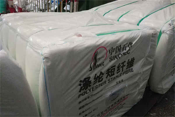 Correa de embalaje de PP PP packaging strap